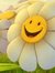 Mahwish