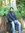 Aditya