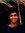 Rishabh...