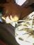 Sumeet