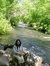 Preethi