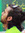 Amir Samadi rad (amirsamadirad) | 210 comments