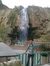 Saleem