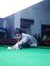 Mayank