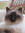 Judie | 5 comments