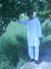 Faridoon