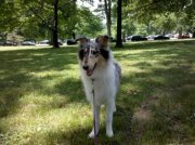 Cinder Wilkinson-Kenner