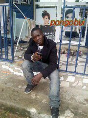 Pongo