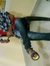 Pavan