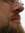 Dave