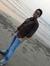 Vijay