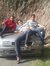 Gurman