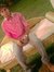 Vivek