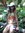Devyani
