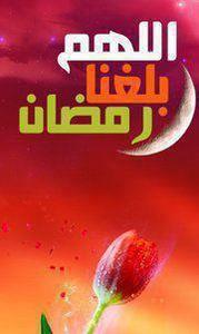 Hadaya