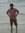 Arnab