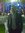 Hossam
