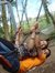 Chintan