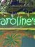 Caroline