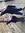 Vicky | 9 comments