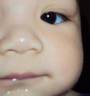 Shahidah