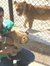 Emad