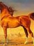 Wael
