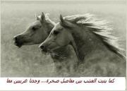 إيمان