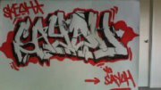 Kyle