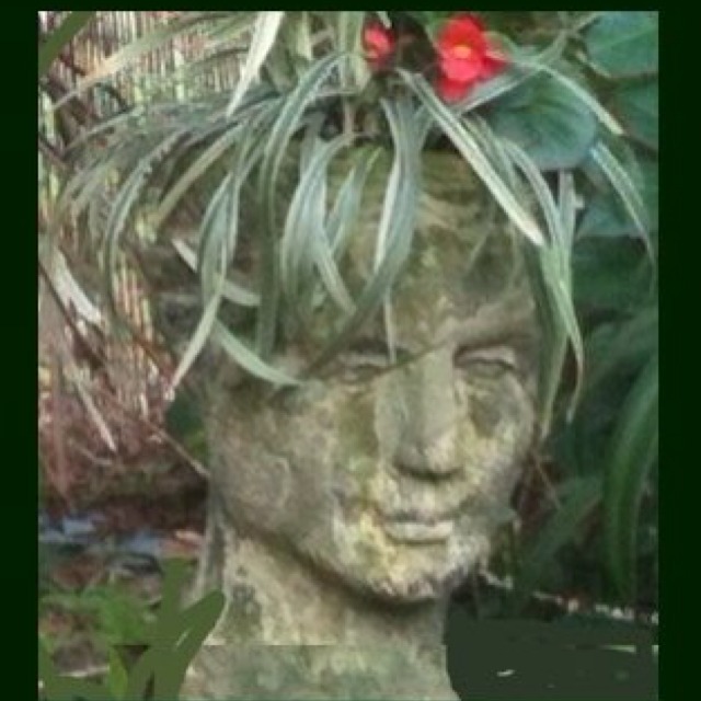 Goodreads profile picture for @dogwood