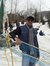 Kapil