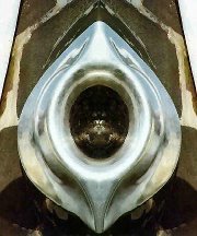 الطاهر صديق