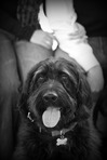 Whitney