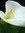 Missdavis Davis | 2 comments