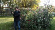 Navid