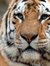 Prashant