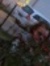 Chloe C...