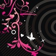 Hafsa