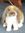 Elly