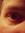 Lee