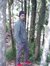 Syed