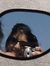 Sumedha
