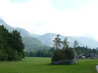 Alexander