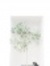 Art Mon
