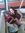 Taylor Clark | 5 comments