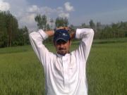 Arsalan