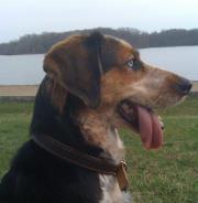 Morgan