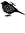 Andrew Finazzo (johnyqd) | 343 comments