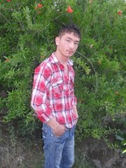 Arif