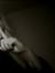 Katalin